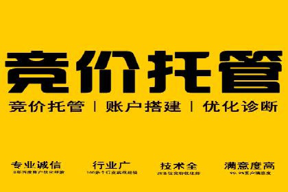 百度竞价账户托管实战：如何实现ROI最大化
